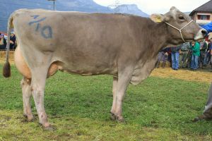 Altdorf13 008